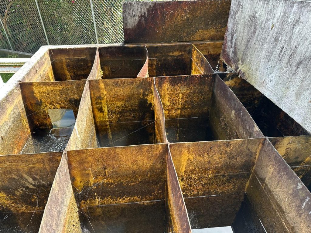 WhatsApp Image 2025-11-10 at 10.10.31 PM