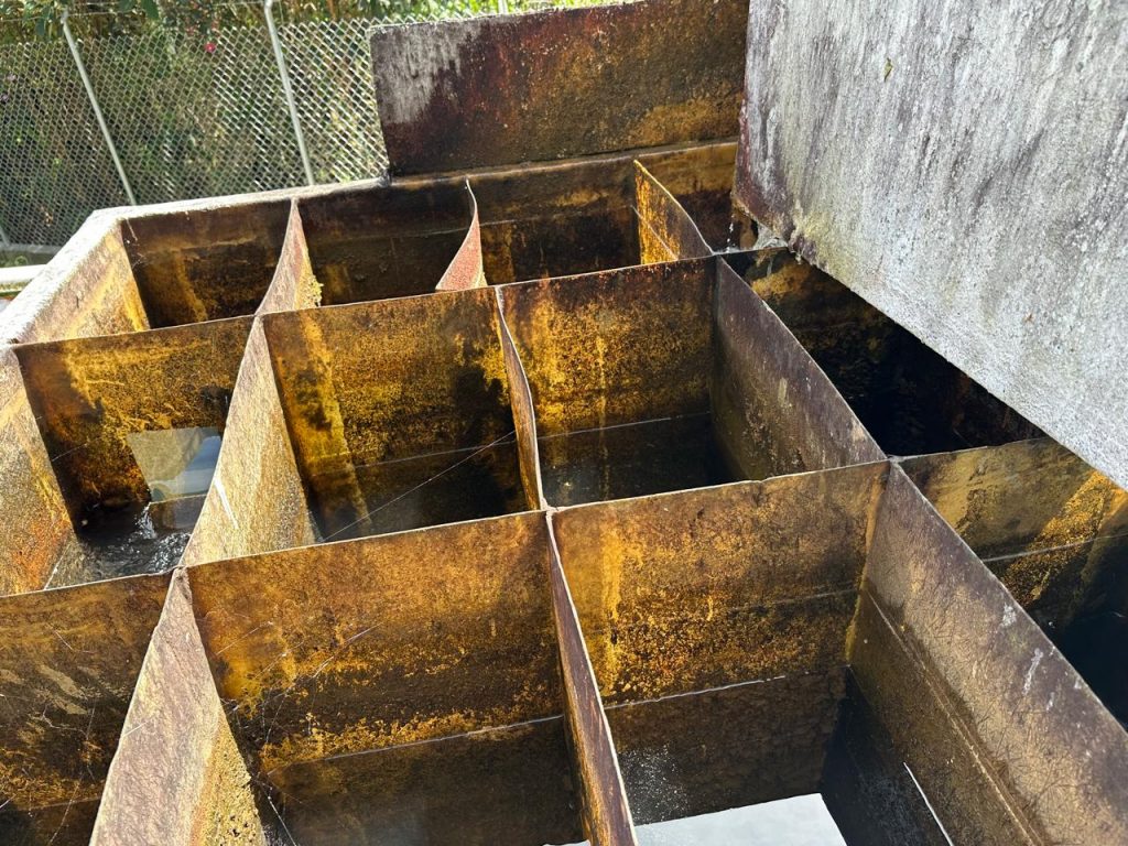 WhatsApp Image 2025-11-10 at 10.10.31 PM (2)